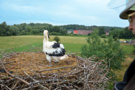 Hier war ich doch schonmal? 